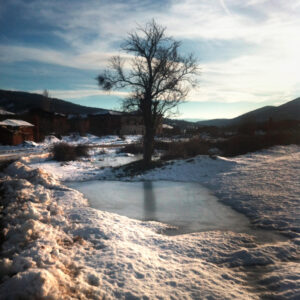 Nature